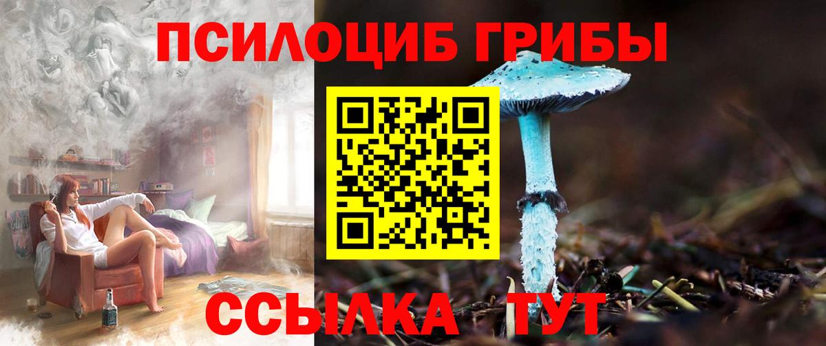 Псилоцибиновые грибы Psilocybine cubensis Зеленодольск